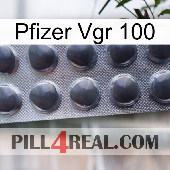 Pfizer Vgr 100 30.jpg